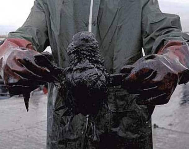95365504-oil-spill