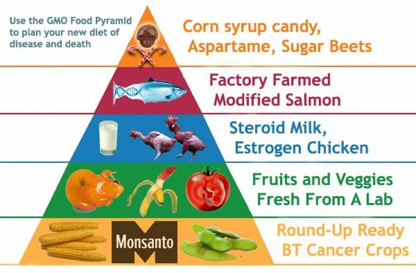 gmo--monsanto food pyramid