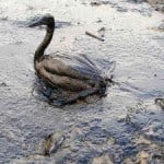 14720_oil-spill