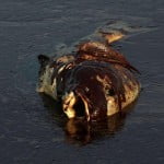 28372_10150200648570436_765260435_13037173_6511830_n