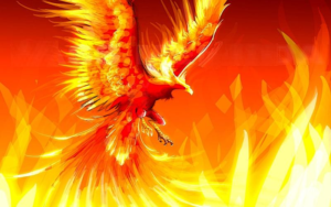 PhoenixRising