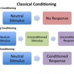 classical conditioning