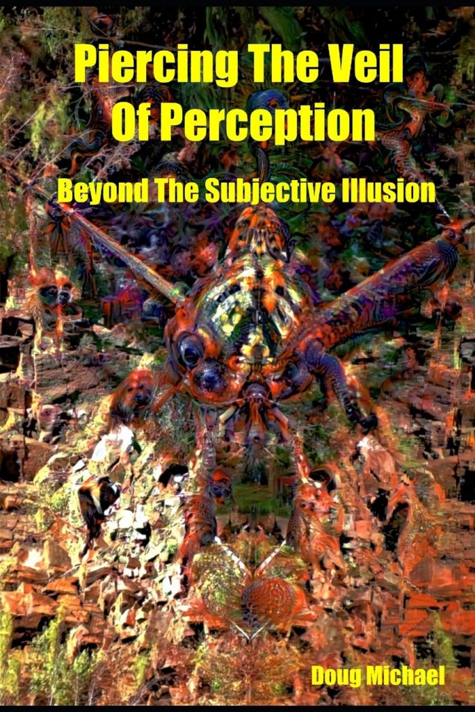 piercing the veil of perception book cover