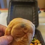 breadmoldy