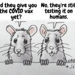 Lab Rats