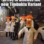 timbutuvariant